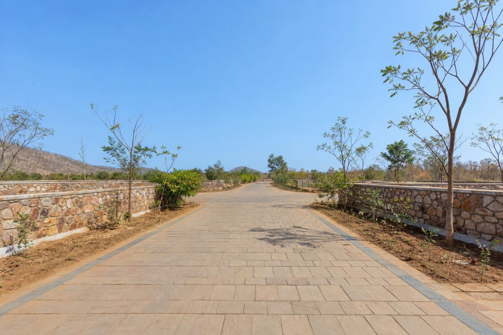 The Aranya — gallery imagery